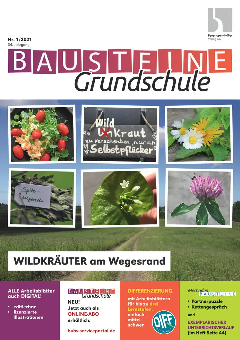 Wildkräuter am Wegesrand - Bausteine Grundschule