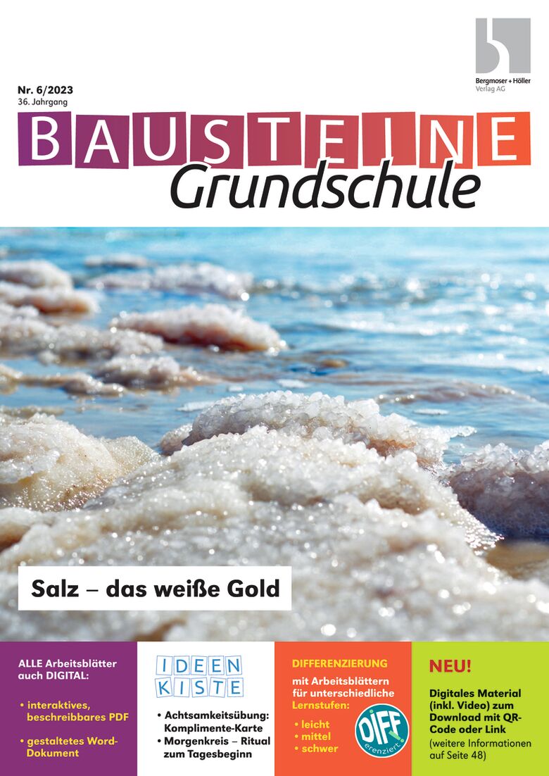 Salz - das weiße Gold - Bausteine Grundschule