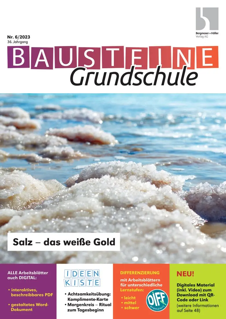 Salz - das weiße Gold - Bausteine Grundschule