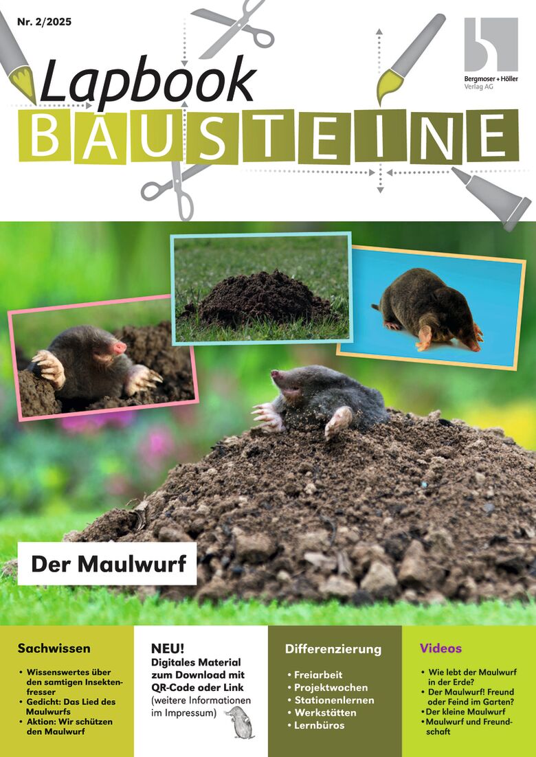 Bausteine Grundschule Lapbook