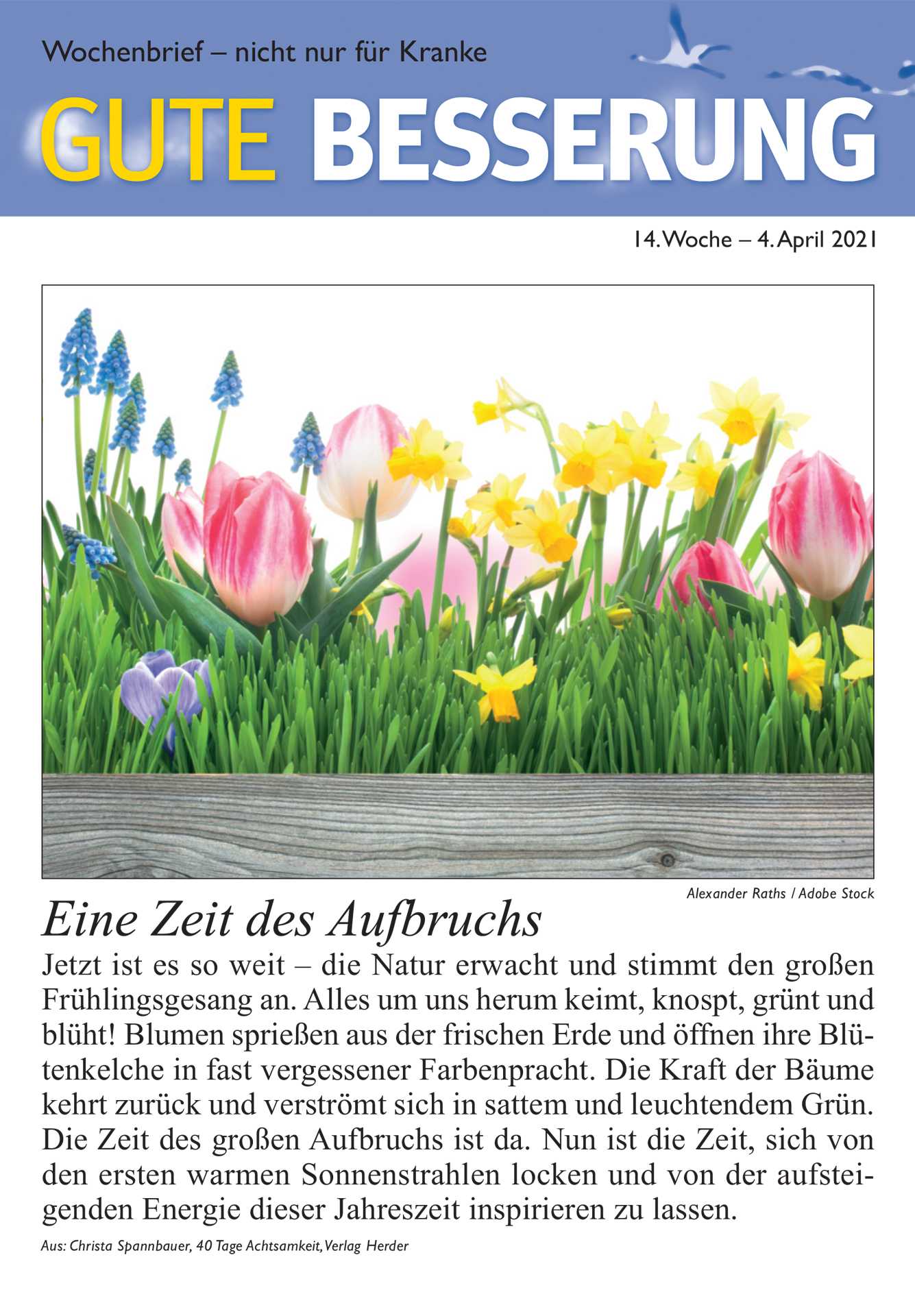 Gute Besserung