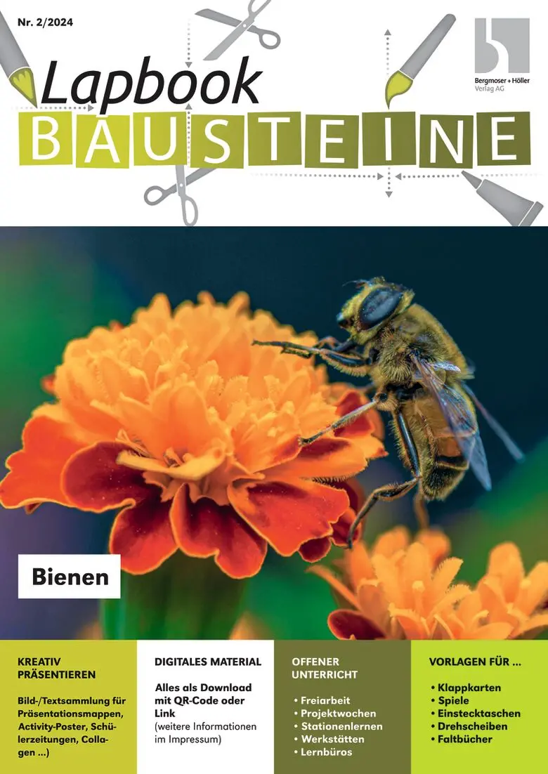 Bienen - Lapbook Bausteine