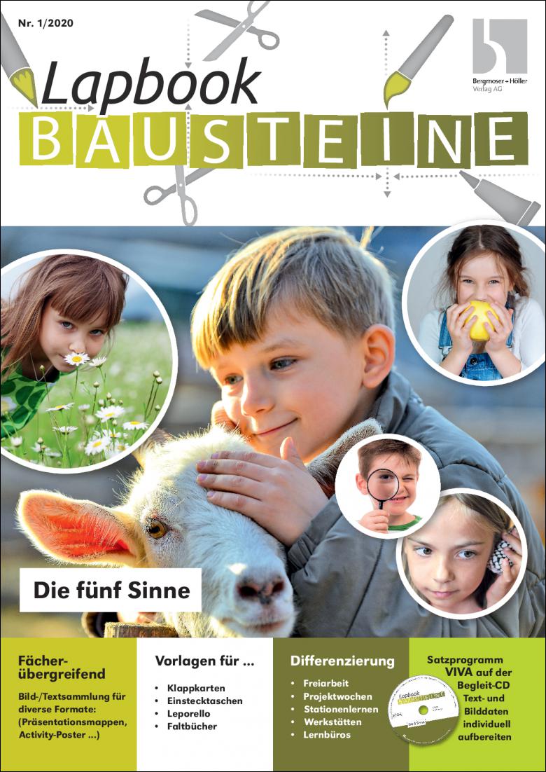 Die fünf Sinne - Lapbook Bausteine