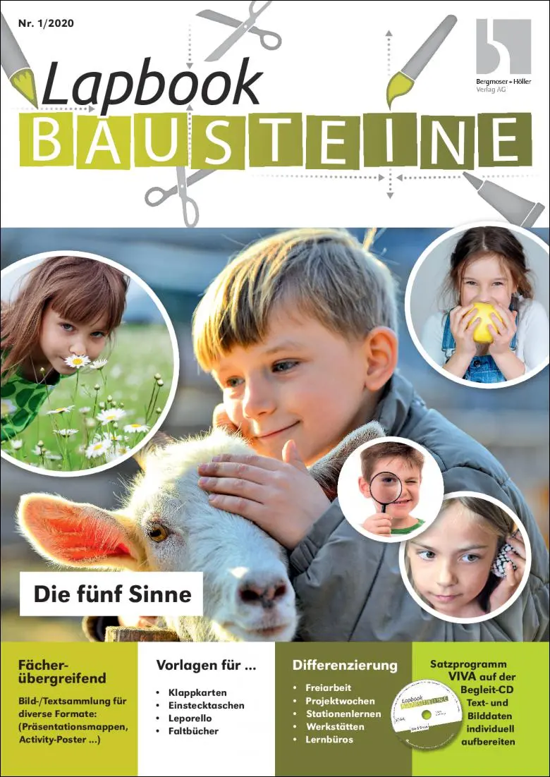 Die fünf Sinne - Lapbook Bausteine