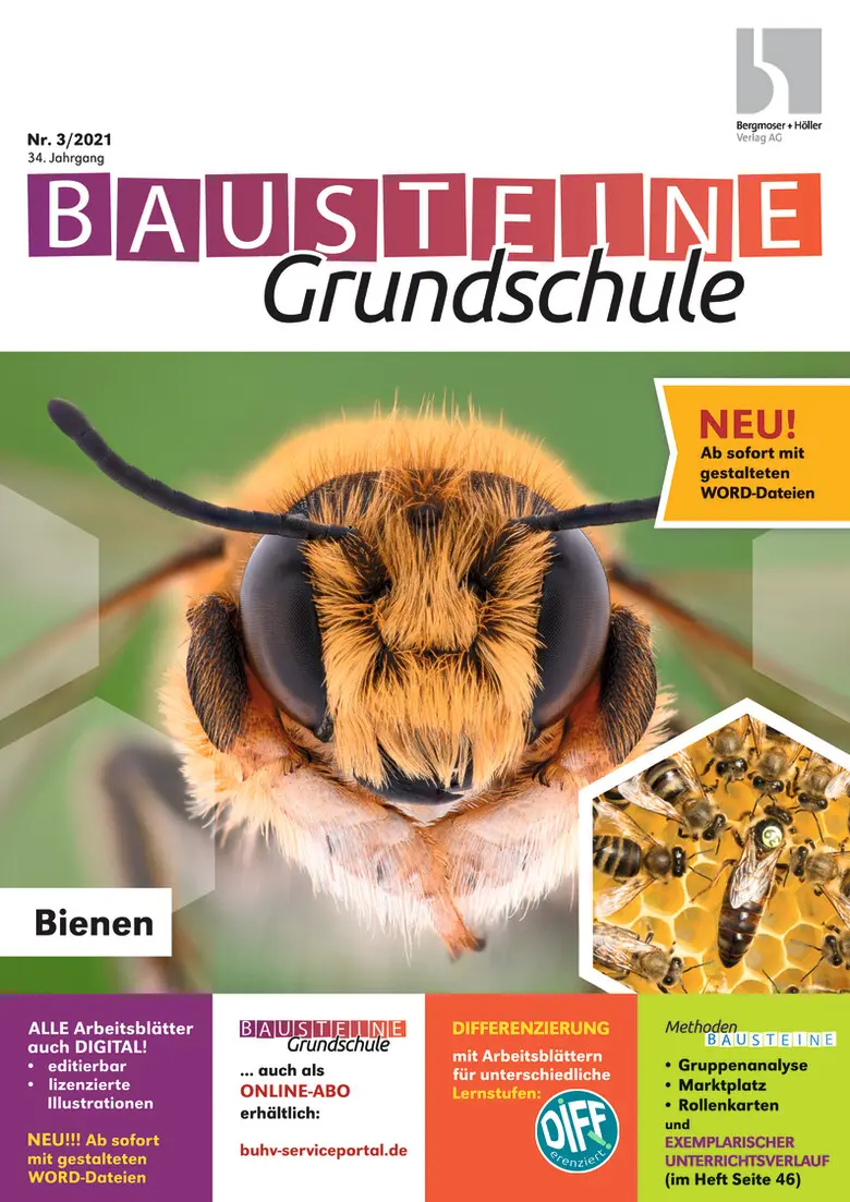 Bienen - Bausteine Grundschule