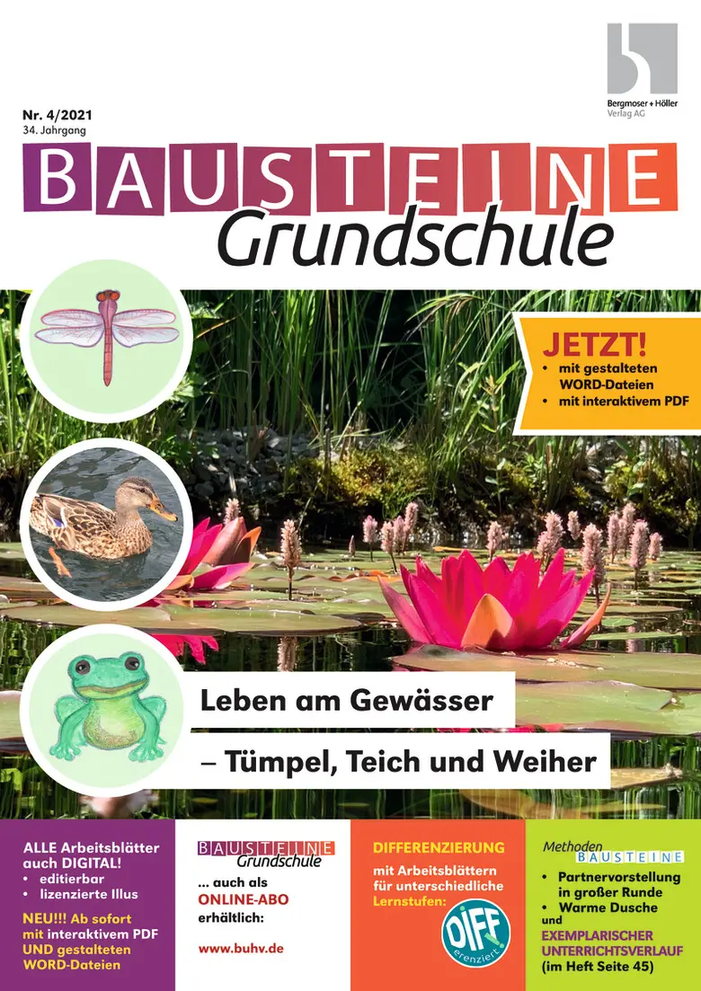 Leben am Gewässer - Bausteine Grundschule